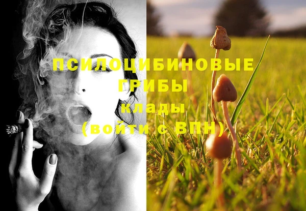 шишки Балахна