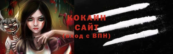 шишки Балахна