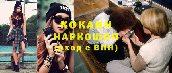 шишки Балахна