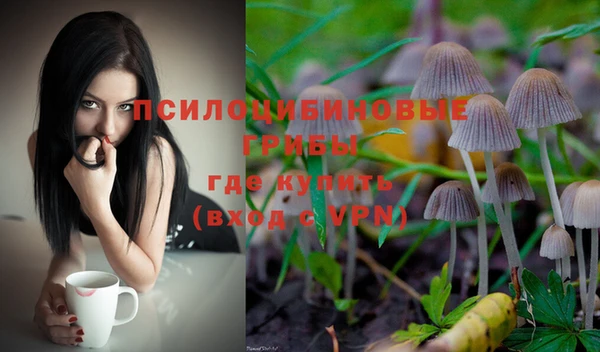 шишки Балахна